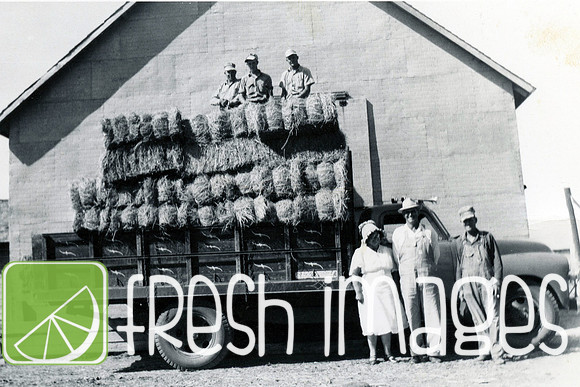 1957 Hay