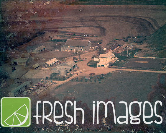 1982-468 Arrowhead Rd