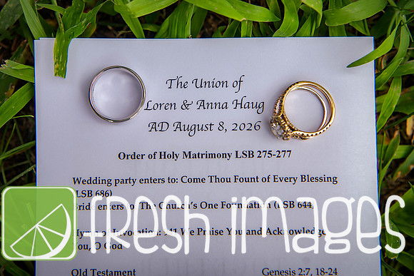 HaugWedding-1000
