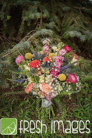 HaugWedding-1003