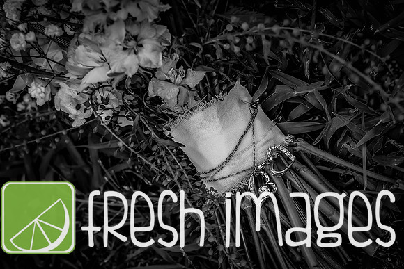 HaugWedding-1006