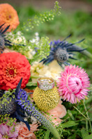 HaugWedding-1008