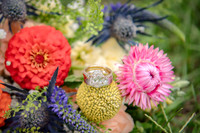 HaugWedding-1009