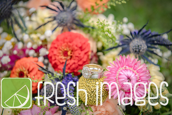 HaugWedding-1012