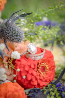 HaugWedding-1016