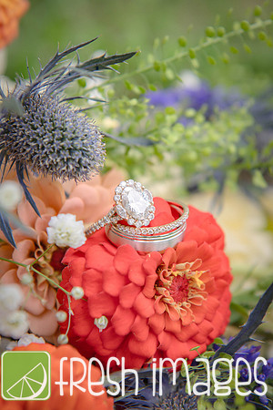 HaugWedding-1016
