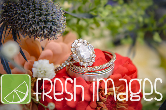 HaugWedding-1017