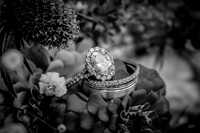 HaugWedding-1018