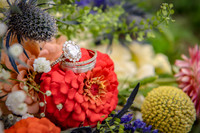 HaugWedding-1019