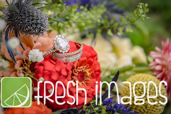 HaugWedding-1019