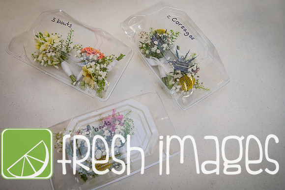 HaugWedding-1059