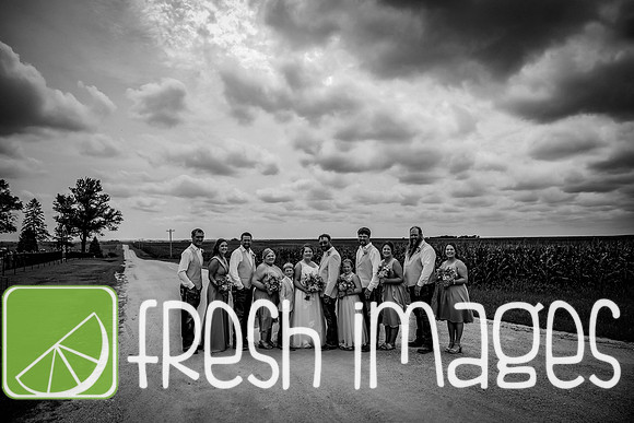 HaugWedding-1248