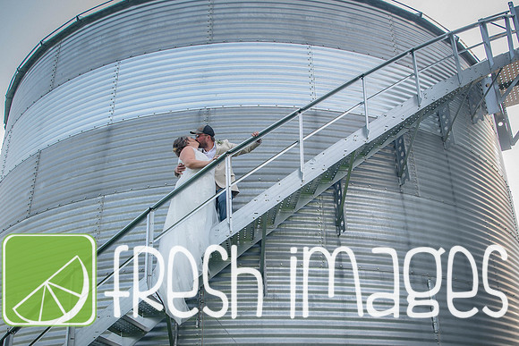HaugWedding-1483