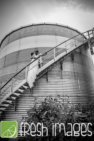 HaugWedding-1485