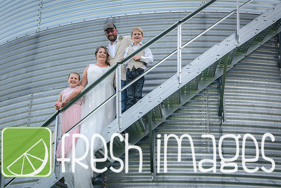 HaugWedding-1501