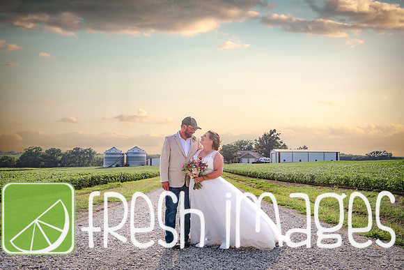HaugWedding-1566
