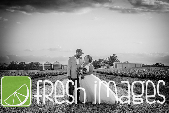 HaugWedding-1567
