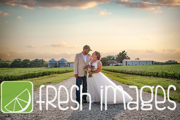 HaugWedding-1568