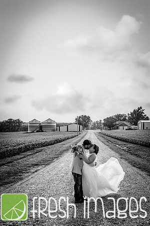 HaugWedding-1571