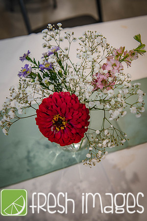 HaugWedding-1584