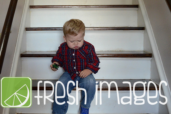Fritschi19-139