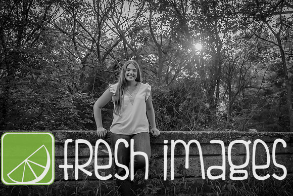 Addy-1074